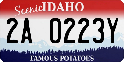 ID license plate 2A0223Y