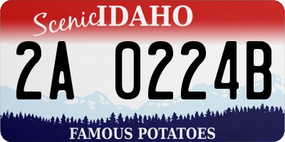 ID license plate 2A0224B