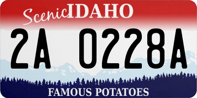 ID license plate 2A0228A