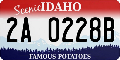 ID license plate 2A0228B