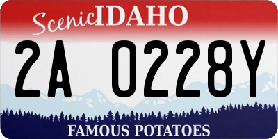 ID license plate 2A0228Y