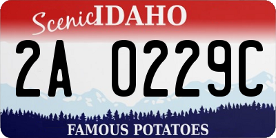 ID license plate 2A0229C