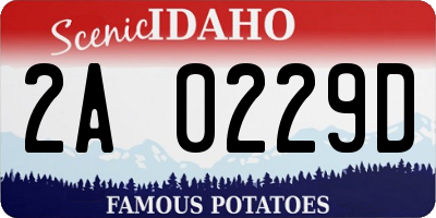 ID license plate 2A0229D