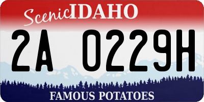 ID license plate 2A0229H