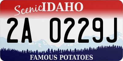 ID license plate 2A0229J