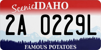 ID license plate 2A0229L
