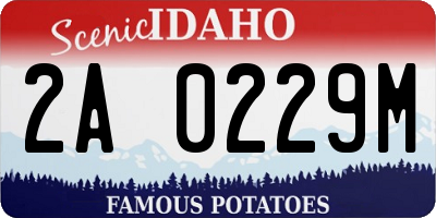 ID license plate 2A0229M