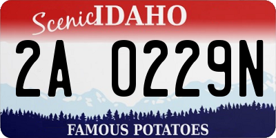 ID license plate 2A0229N