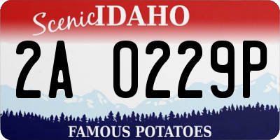 ID license plate 2A0229P