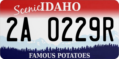 ID license plate 2A0229R