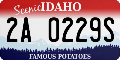 ID license plate 2A0229S