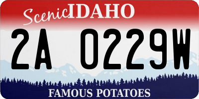 ID license plate 2A0229W
