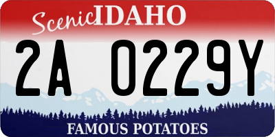 ID license plate 2A0229Y