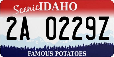 ID license plate 2A0229Z