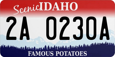 ID license plate 2A0230A