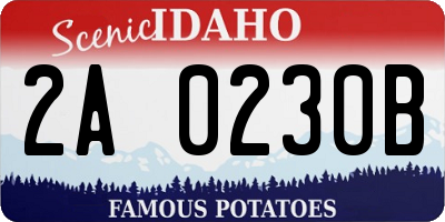 ID license plate 2A0230B