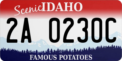 ID license plate 2A0230C