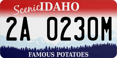 ID license plate 2A0230M
