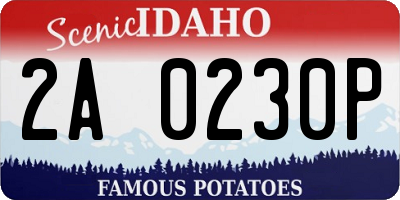 ID license plate 2A0230P