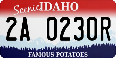 ID license plate 2A0230R
