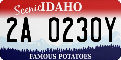 ID license plate 2A0230Y
