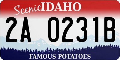 ID license plate 2A0231B