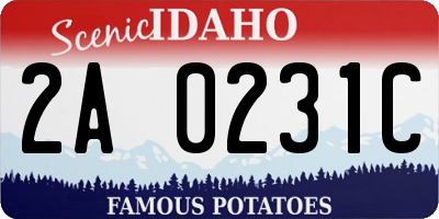ID license plate 2A0231C