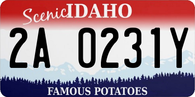 ID license plate 2A0231Y