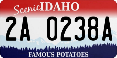 ID license plate 2A0238A