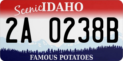 ID license plate 2A0238B