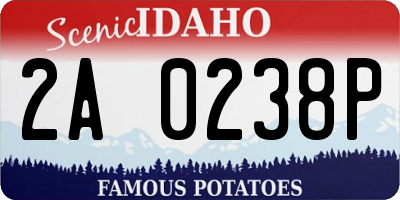 ID license plate 2A0238P