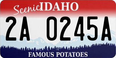 ID license plate 2A0245A