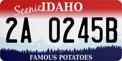 ID license plate 2A0245B