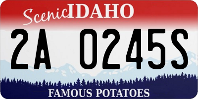 ID license plate 2A0245S