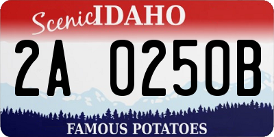 ID license plate 2A0250B