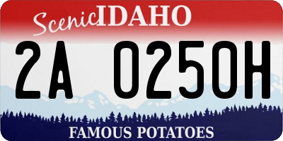 ID license plate 2A0250H