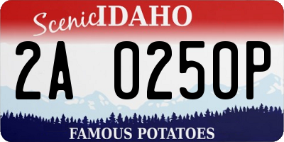 ID license plate 2A0250P