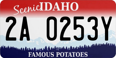 ID license plate 2A0253Y