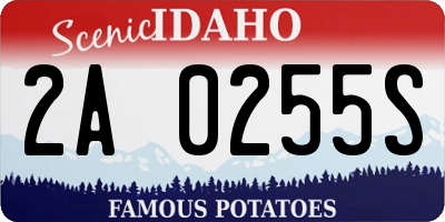 ID license plate 2A0255S