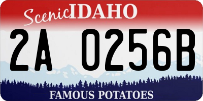 ID license plate 2A0256B