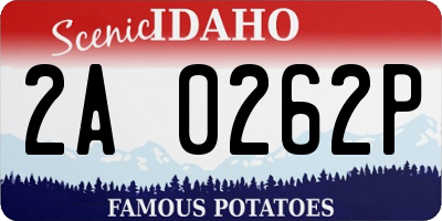 ID license plate 2A0262P
