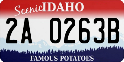 ID license plate 2A0263B