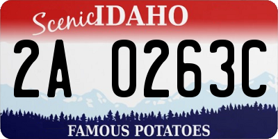 ID license plate 2A0263C