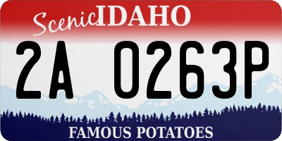 ID license plate 2A0263P