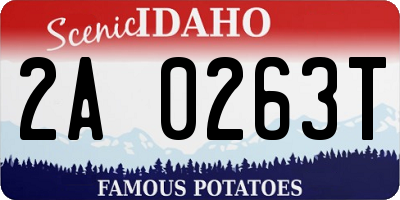 ID license plate 2A0263T