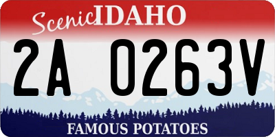 ID license plate 2A0263V