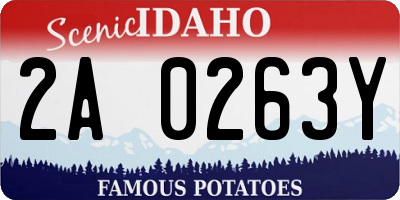 ID license plate 2A0263Y
