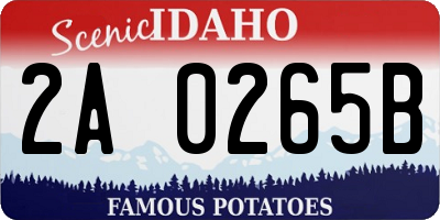 ID license plate 2A0265B