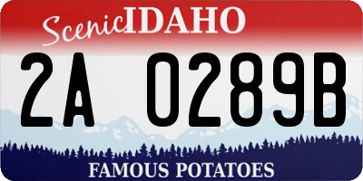 ID license plate 2A0289B