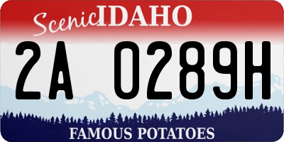 ID license plate 2A0289H